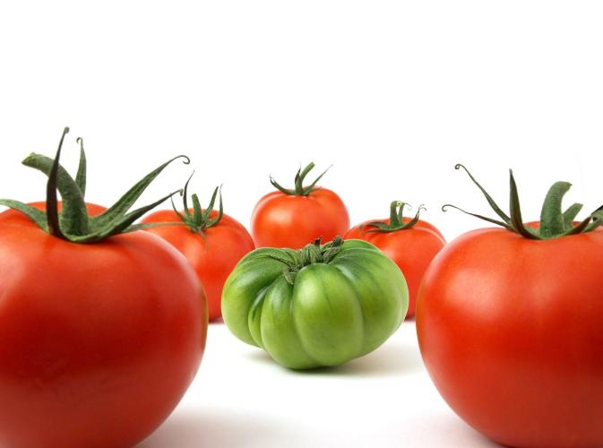 green-tomato-among-red-tomatoes